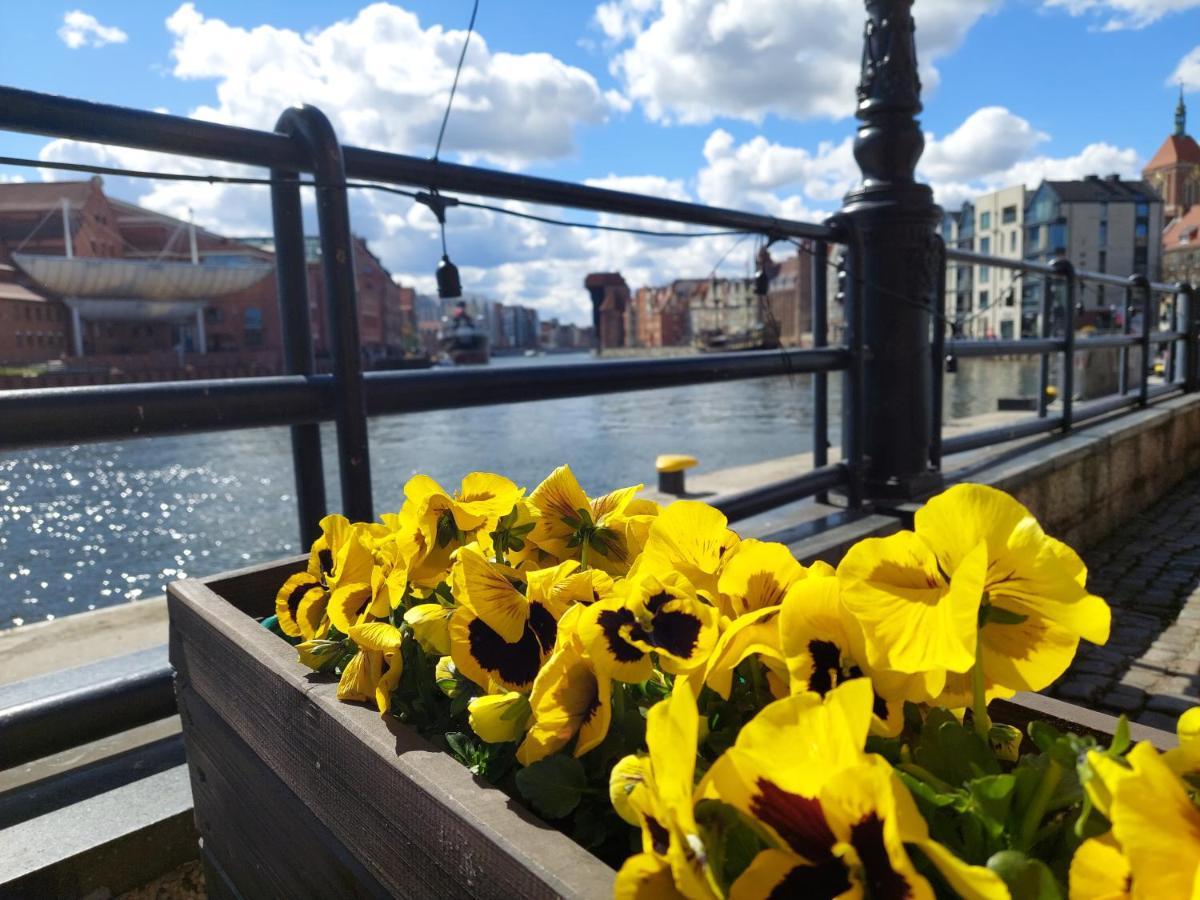 Walowa Apartament Gdansk Dış mekan fotoğraf